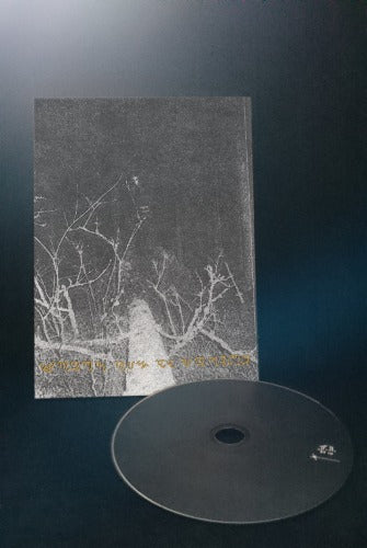 The Song Of A Long Forgotten Ghost with 1993 artwork A5 Digipak CD